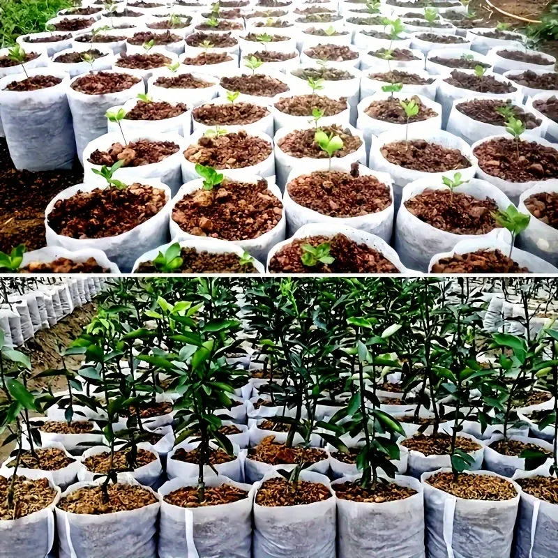 100 NonWoven Seedling Bags for Increased Plant Survival