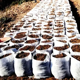 100 NonWoven Seedling Bags for Increased Plant Survival