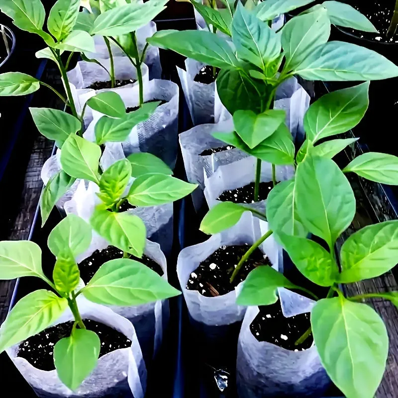 100 NonWoven Seedling Bags for Increased Plant Survival