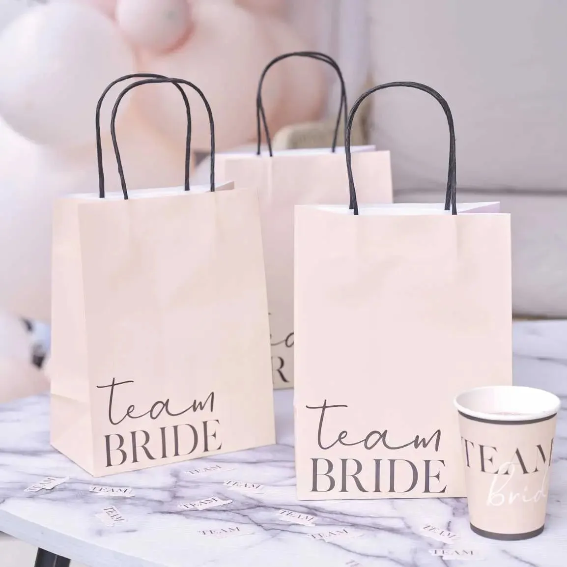 Ginger Ray Hen Party Team Bride Bags - 5 Pkt